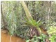 Kiels Mountain QLD 4559