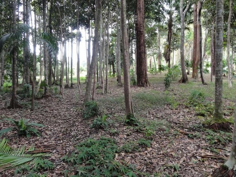 Kiels Mountain QLD 4559