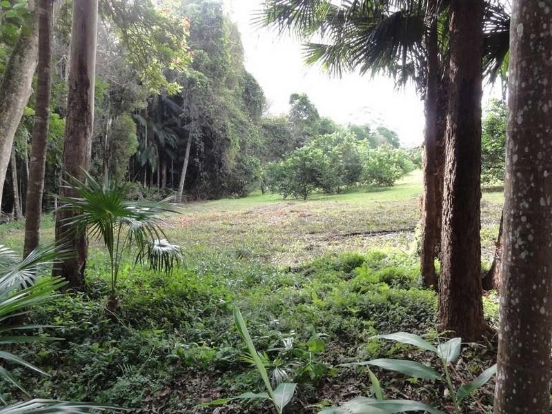 Kiels Mountain QLD 4559