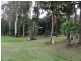 Kiels Mountain QLD 4559