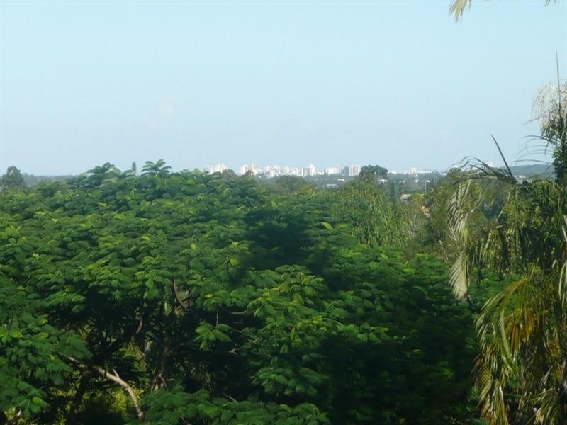 16 Conway Court, Bli Bli QLD 4560