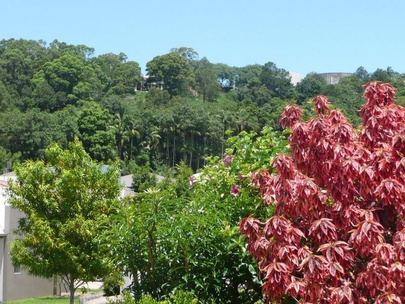 DUPLEX 1/61 Clearwater Circuit, Bli Bli QLD 4560