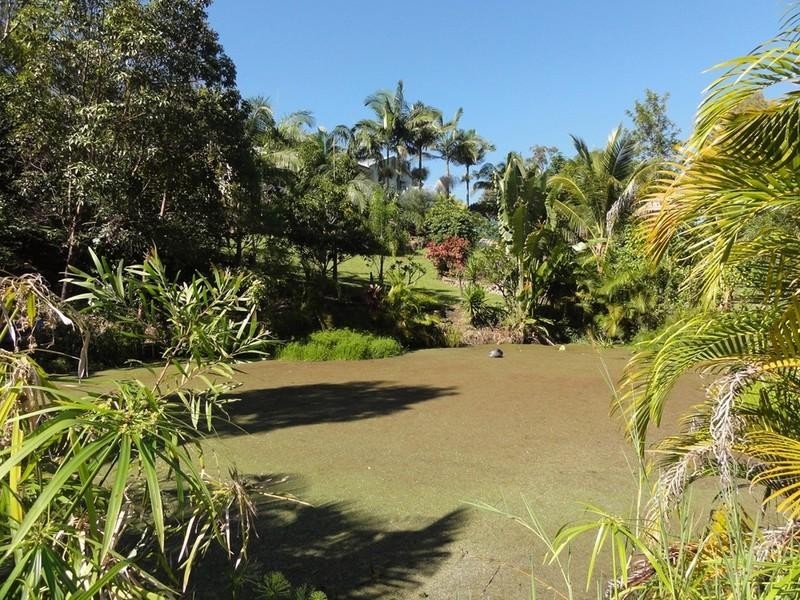 53 Kirra Road, Maroochy River QLD 4561
