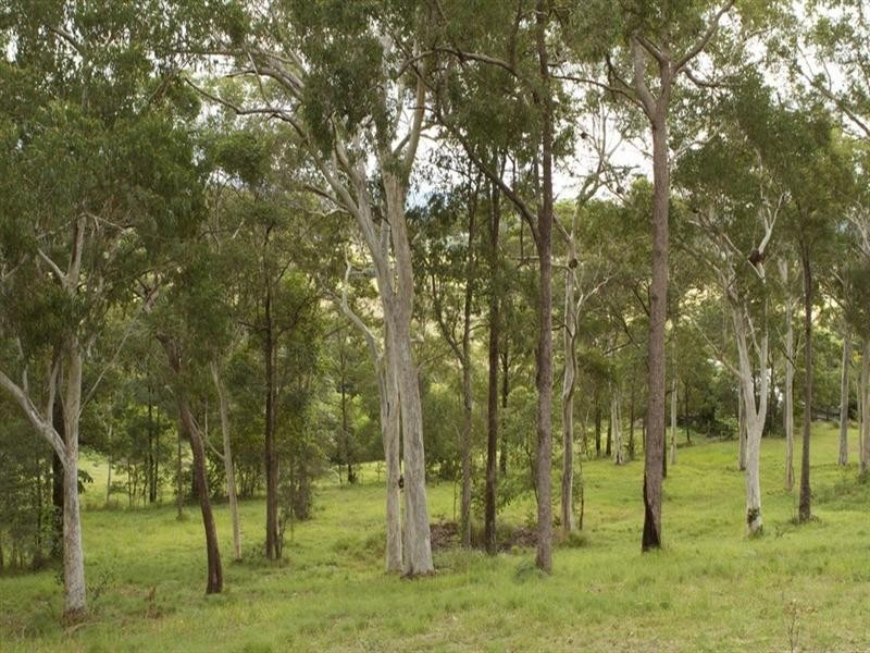 6 Timberland Close, Maroochy River QLD 4561