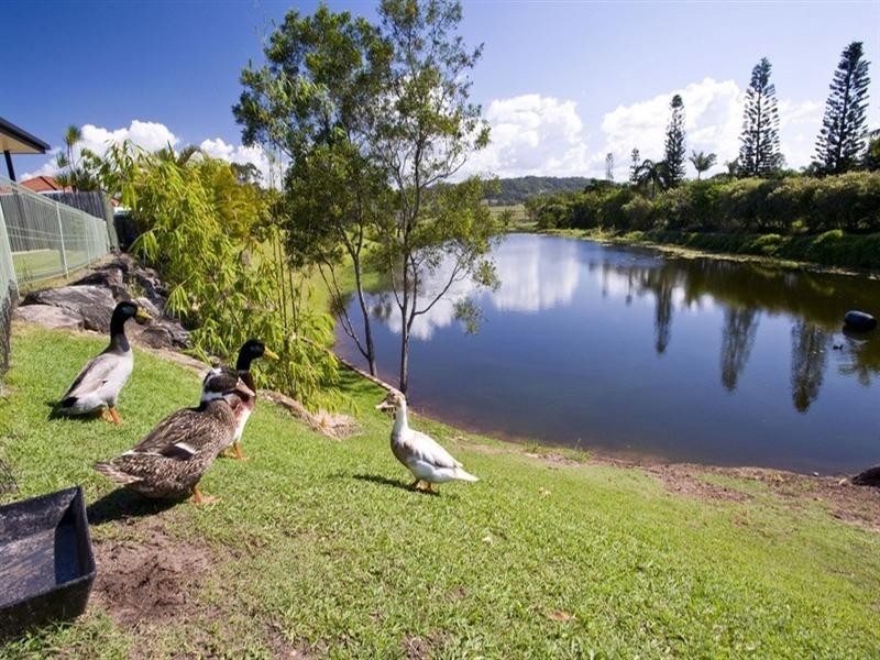 41 Kathleen Drive, Bli Bli QLD 4560