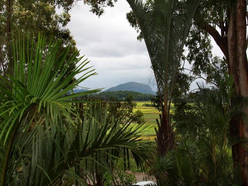 2 Willis Road, Bli Bli QLD 4560