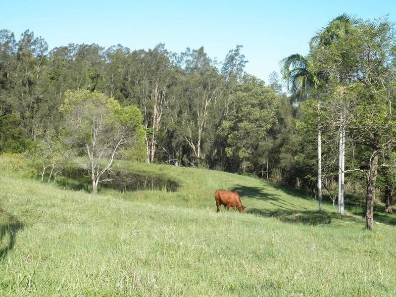 18 Stoney Wharf Road, Bli Bli QLD 4560