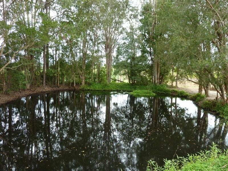931 Yandina-Bli Bli Road, Bli Bli QLD 4560