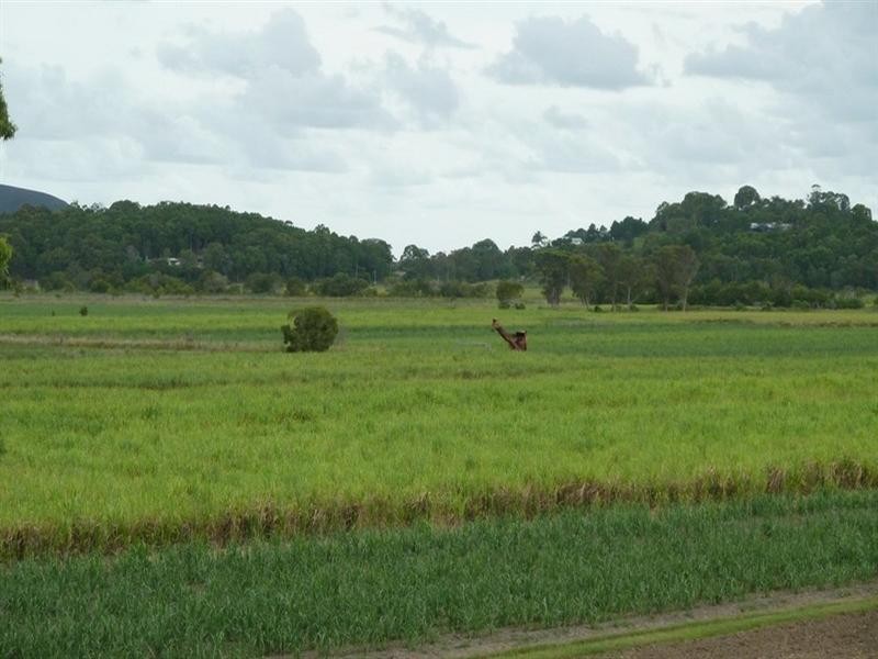 931 Yandina-Bli Bli Road, Bli Bli QLD 4560