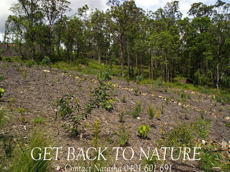 3 Skiel Court, Maroochy River QLD 4561