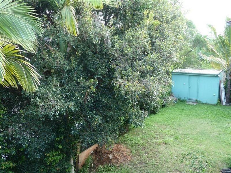 21 Avocado Crescent, Bli Bli QLD 4560