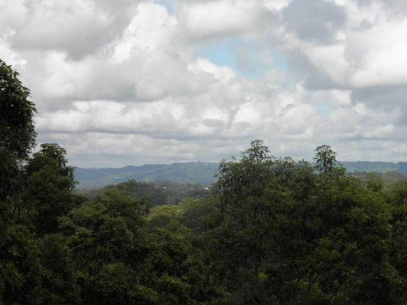 65 Atkinson Road, Bli Bli QLD 4560