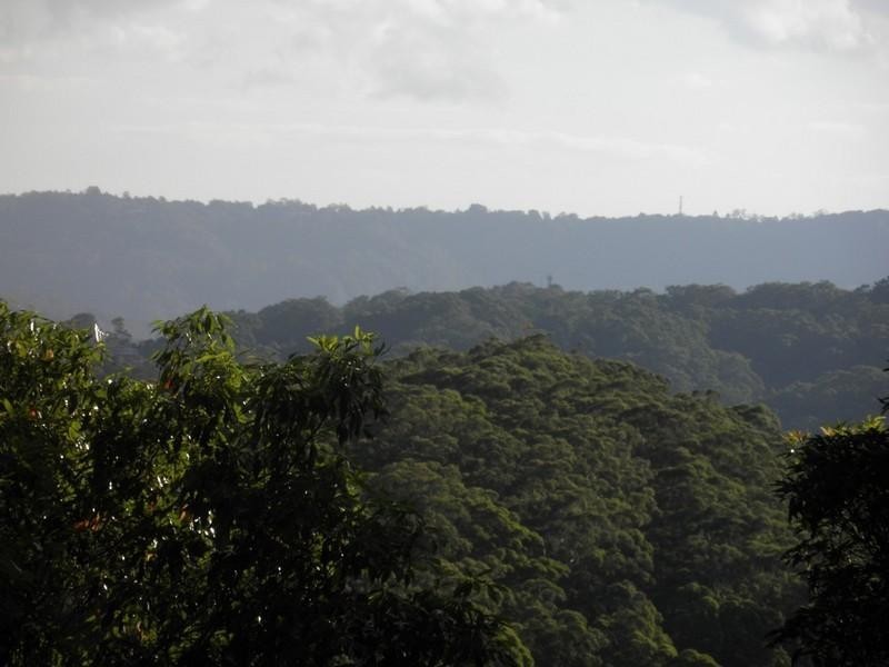 65 Atkinson Road, Bli Bli QLD 4560