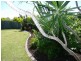 Bli Bli QLD 4560