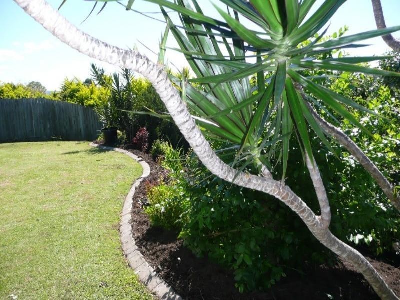 Bli Bli QLD 4560