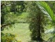 63 Gallery Drive, Bli Bli QLD 4560