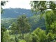 63 Gallery Drive, Bli Bli QLD 4560