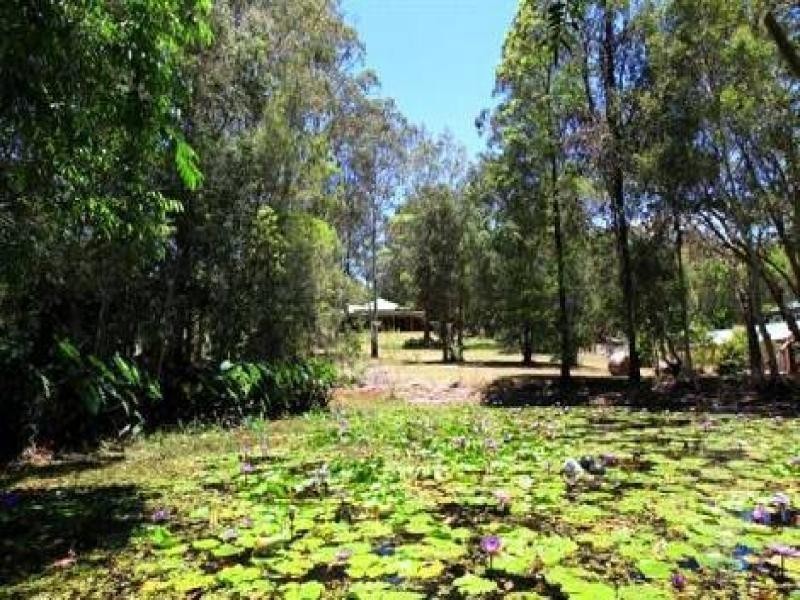 12 Forest Hill Drive, Bli Bli QLD 4560