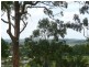 17B Mc Call Place, Bli Bli QLD 4560