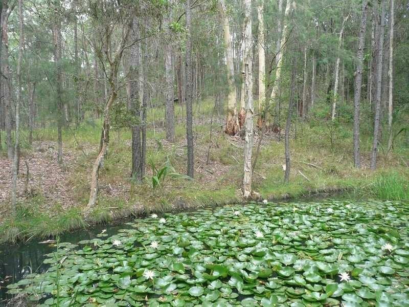 5 Cygnus Place, Bli Bli QLD 4560