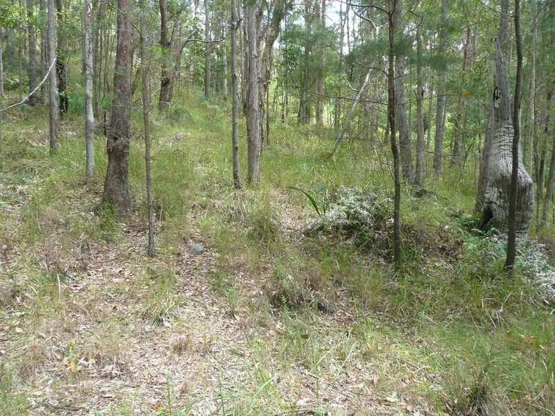 5 Cygnus Place, Bli Bli QLD 4560