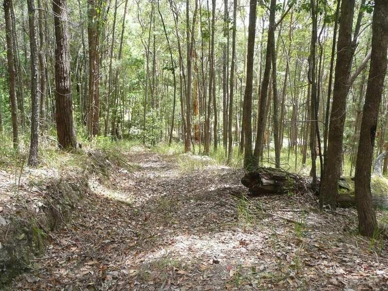 5 Cygnus Place, Bli Bli QLD 4560