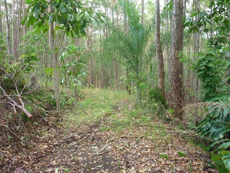 5 Cygnus Place, Bli Bli QLD 4560