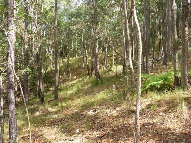 5 Cygnus Place, Bli Bli QLD 4560