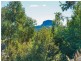 29 Ringtail Place, Bli Bli QLD 4560