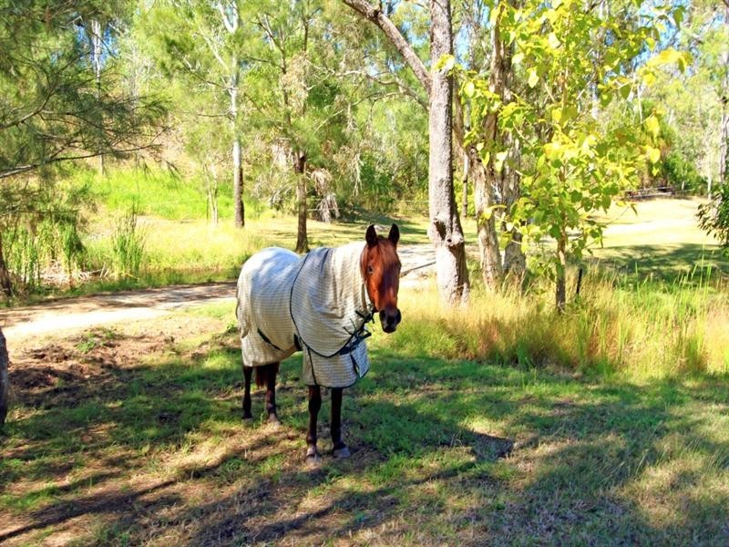679 Yeppoon Road, Limestone Creek QLD 4701