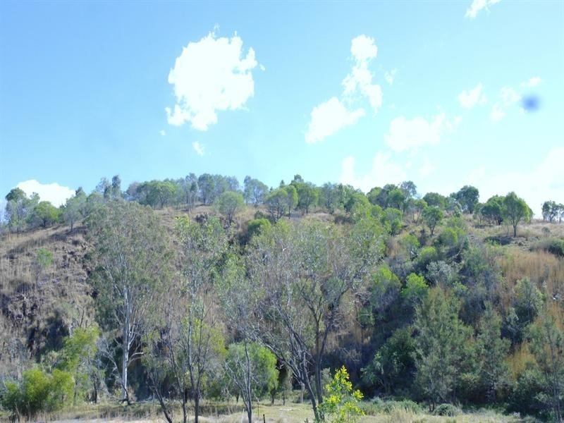 16A Creek Street, Baree QLD 4714