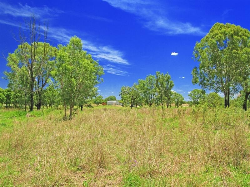 290 Six Mile Road, Pink Lily QLD 4702