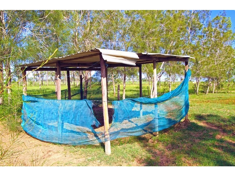 440 Nine Mile Road, Alton Downs QLD 4702