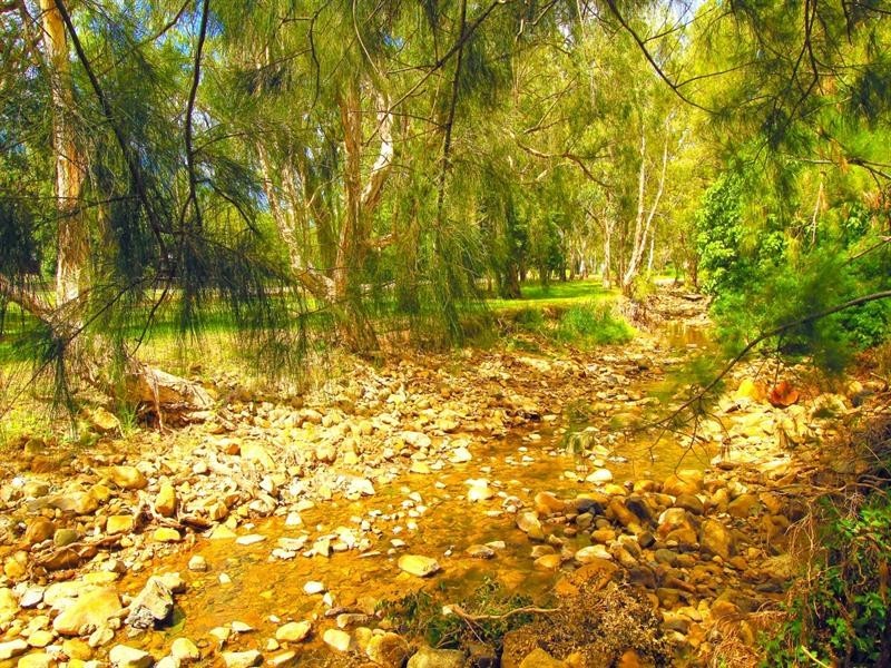 255 Boyd Street, Frenchville QLD 4701