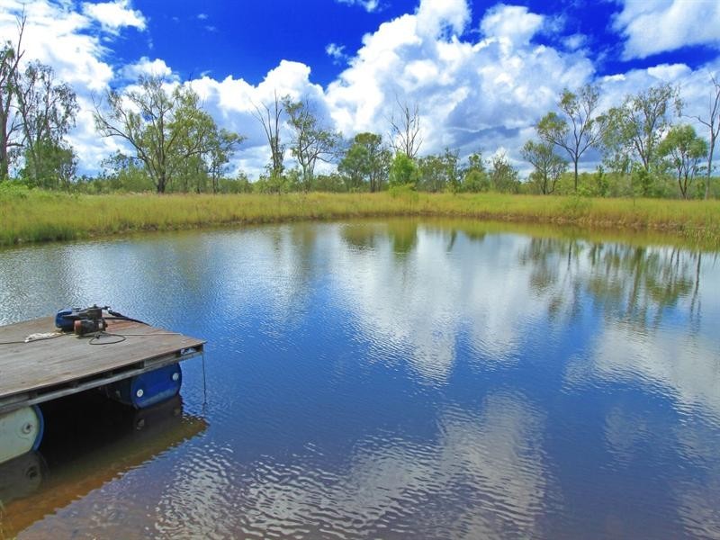 37 Dalma Ridgelands Road, Ridgelands QLD 4702