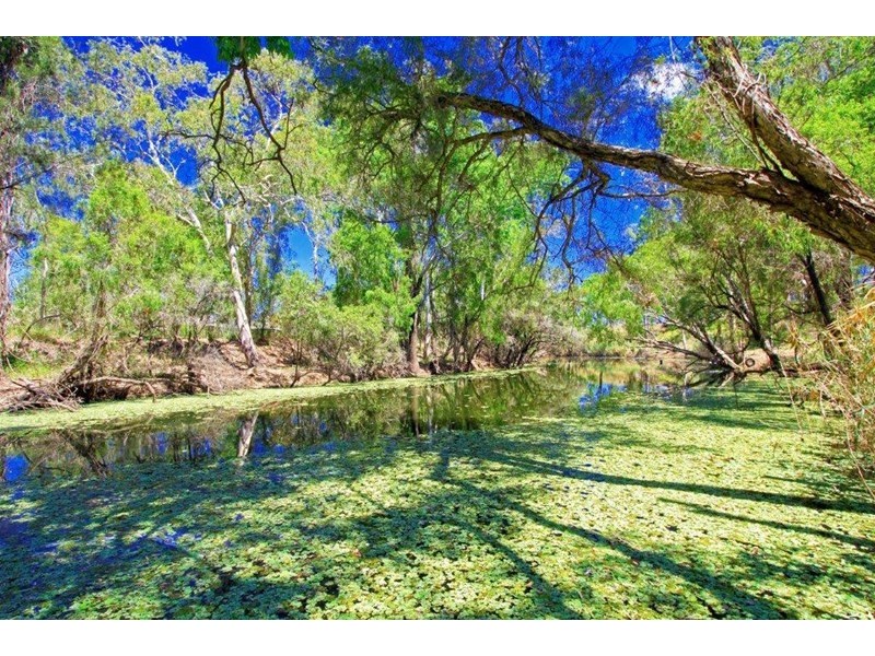337 Leichhardt Street, Parkhurst QLD 4702