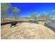 116 Lucas Street, Gracemere QLD 4702