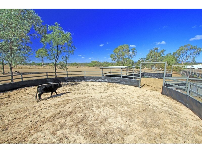 116 Lucas Street, Gracemere QLD 4702