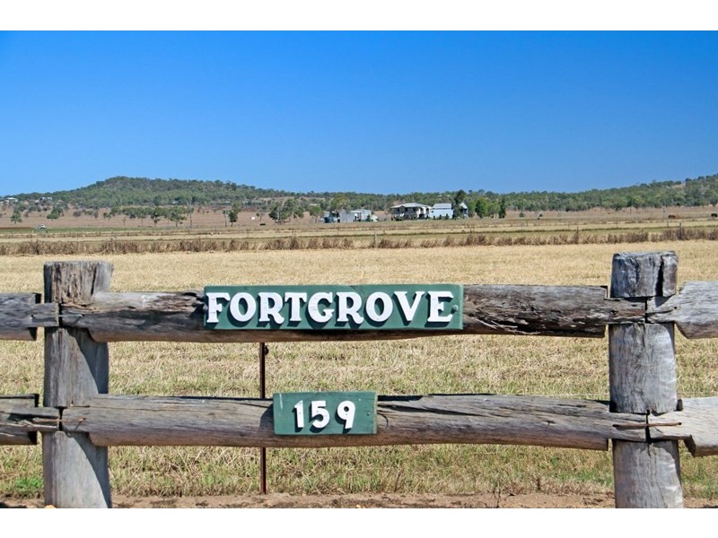 159 Wedel Road, Alton Downs QLD 4702