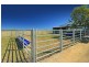 159 Wedel Road, Alton Downs QLD 4702