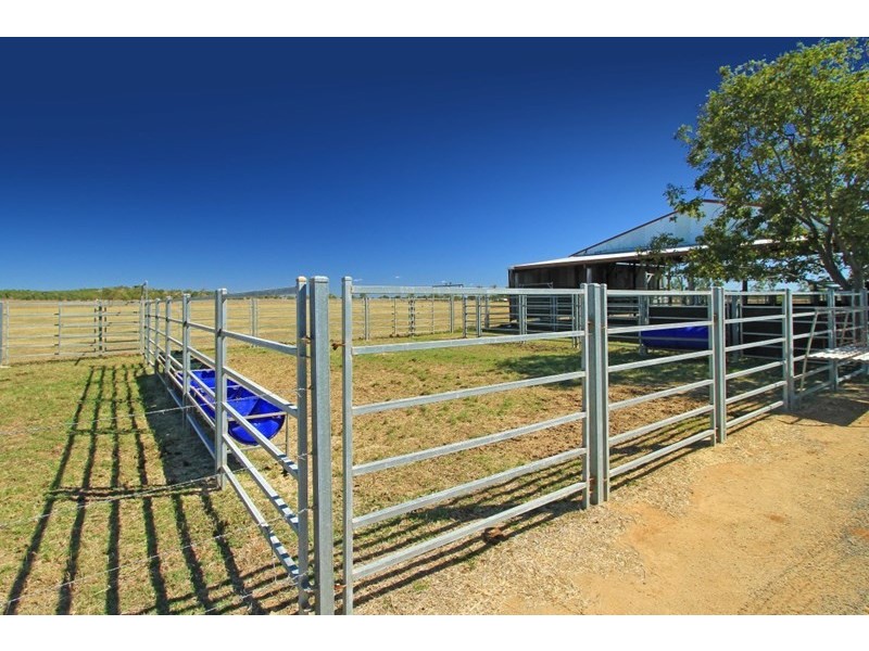 159 Wedel Road, Alton Downs QLD 4702