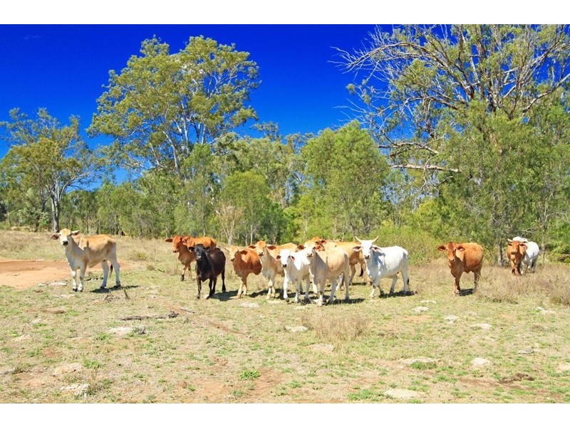 Lot 22 Boongary Road, Gracemere QLD 4702