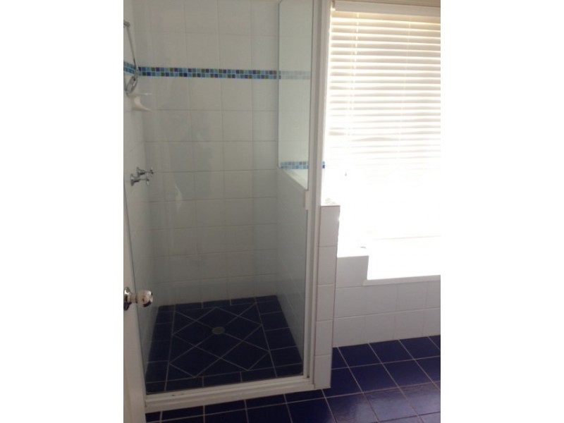 315 Everingham Avenue, Frenchville QLD 4701