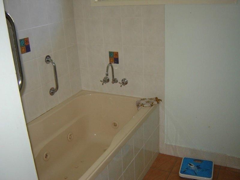 599 Ibis Avenue, Kawana QLD 4701