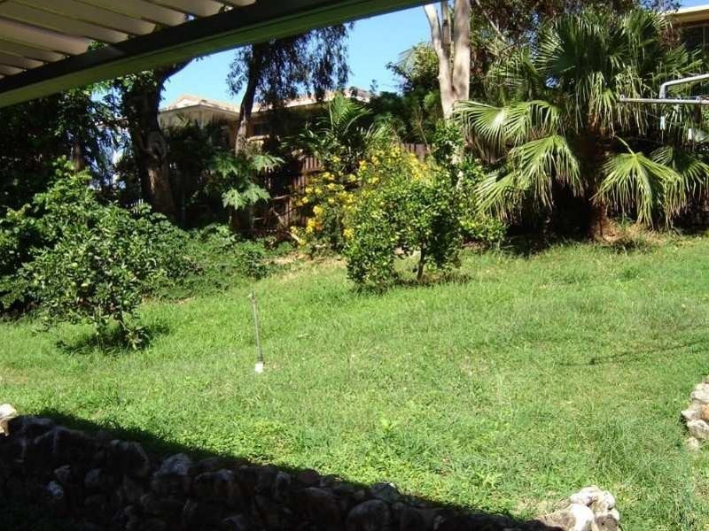 599 Ibis Avenue, Kawana QLD 4701