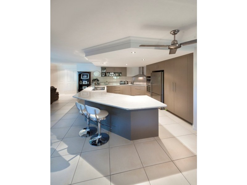 11 Treefern Terrace, Frenchville QLD 4701