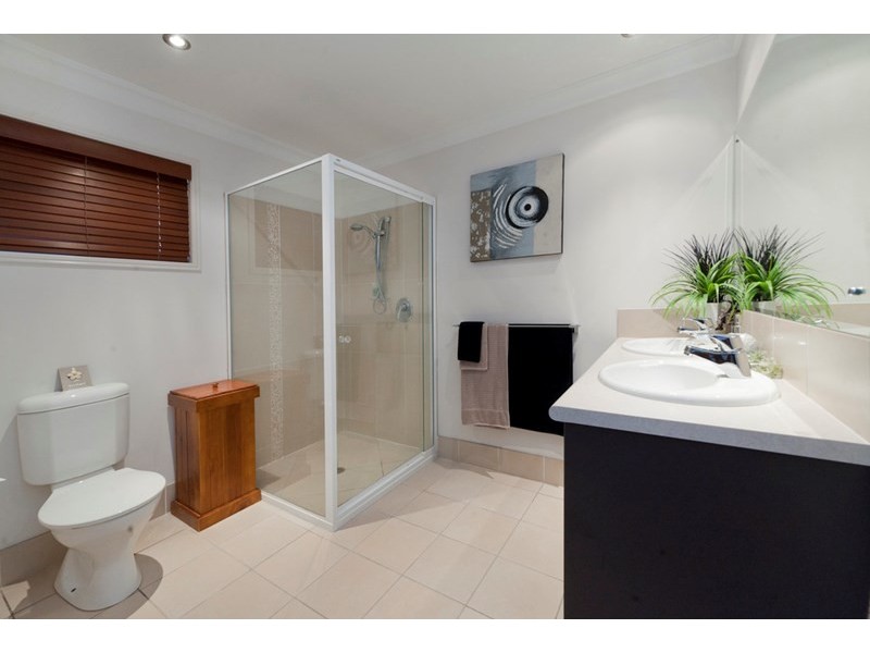 11 Treefern Terrace, Frenchville QLD 4701