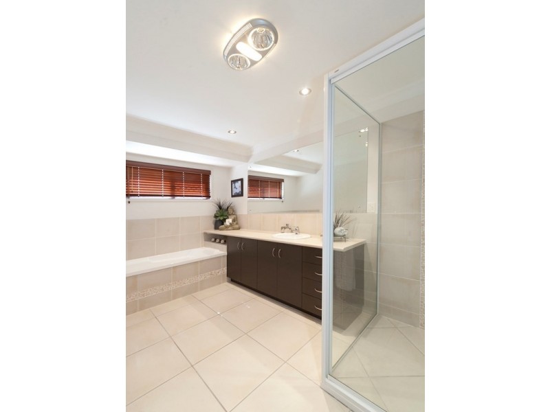 11 Treefern Terrace, Frenchville QLD 4701