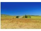 245 Four Mile Road, Bouldercombe QLD 4702