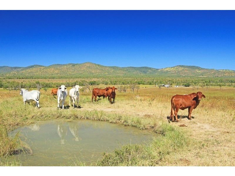 245 Four Mile Road, Bouldercombe QLD 4702